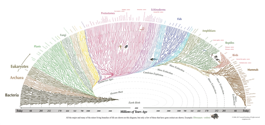 Charles Darwin and the Tree of Life